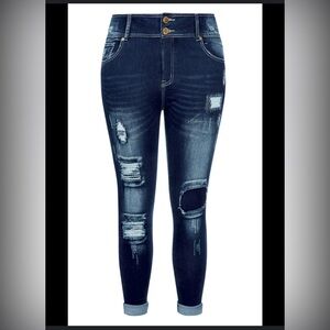 Asha Mid Rise Skinny Jeans